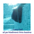 Bazénový vysávač DOLPHIN pre vysávanie dna a stien bazéna, bezkáblový