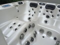 Artesian Spas PLATINUM ELITE panel 