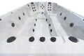 Swim spa Platinum Spas Titan