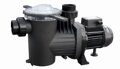 Winner 75 M - 230V, 14 m3/h, 0,55 kW