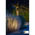 Heisner Smart light - 3x LED reflektor 3x1 W, senzor stmievania L410-00
