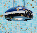 Automatický vysávač Planet Pool CF 45 AKU