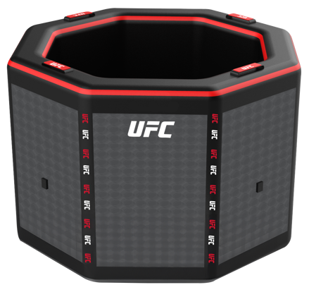 UFC Icebath Octogone