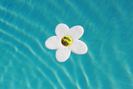 Absorpčná špongia na mastnotu Water Lily
