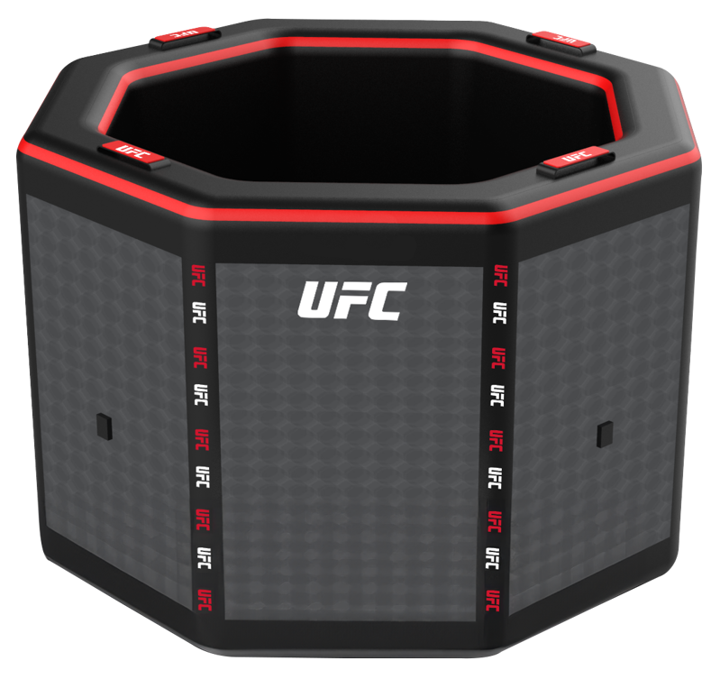 UFC Icebath Octogone